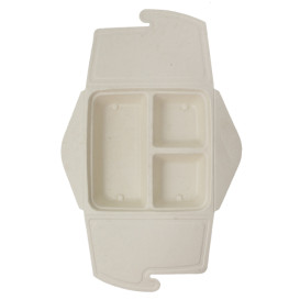 Opakowania Box to Go Trzciny Cukrowej 3C 21x21x4cm 900ml (100 Sztuk)