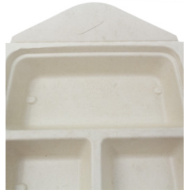 Opakowania Box to Go Trzciny Cukrowej 3C 21x21x4cm 900ml (100 Sztuk)