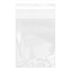 Torby Plastikowe Biorientacja z Warstwą Klejącą 15x22 cm G-160 (100 Sztuk)