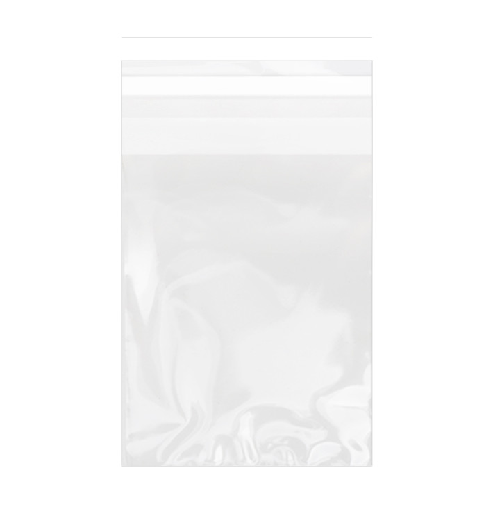 Torby Plastikowe Biorientacja z Warstwą Klejącą 15x22 cm G-160 (100 Sztuk) Torby Plastikowe Biorientacja z Warstwą Klejącą 15x22 cm G-160 (100 Sztuk)
