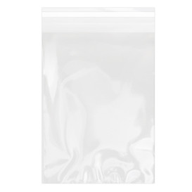 Torby Plastikowe Biorientacja z Warstwą Klejącą 18x25 cm G-160 (100 Sztuk)
