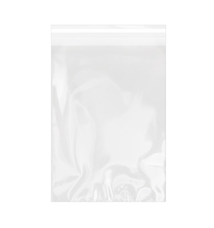 Torby Plastikowe Biorientacja z Warstwą Klejącą 25x35 cm G-160 (100 Sztuk) Torby Plastikowe Biorientacja z Warstwą Klejącą 25x35 cm G-160 (100 Sztuk)