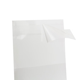 Torby Plastikowe Biorientacja z Warstwą Klejącą 5,5x5,5 cm G-160 (100 Sztuk)