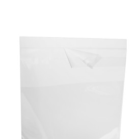Torby Plastikowe Biorientacja z Warstwą Klejącą 10x15 cm G-160 (100 Sztuk)
