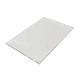 Torby Plastikowe Biorientacja z Warstwą Klejącą 25x35 cm G-160 (100 Sztuk)