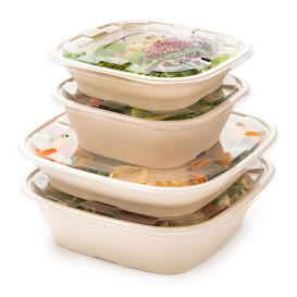 Miski Trzciny Cukrowej Kwadratowi Naturalne 4500ml 36cm (5 Sztuk)
