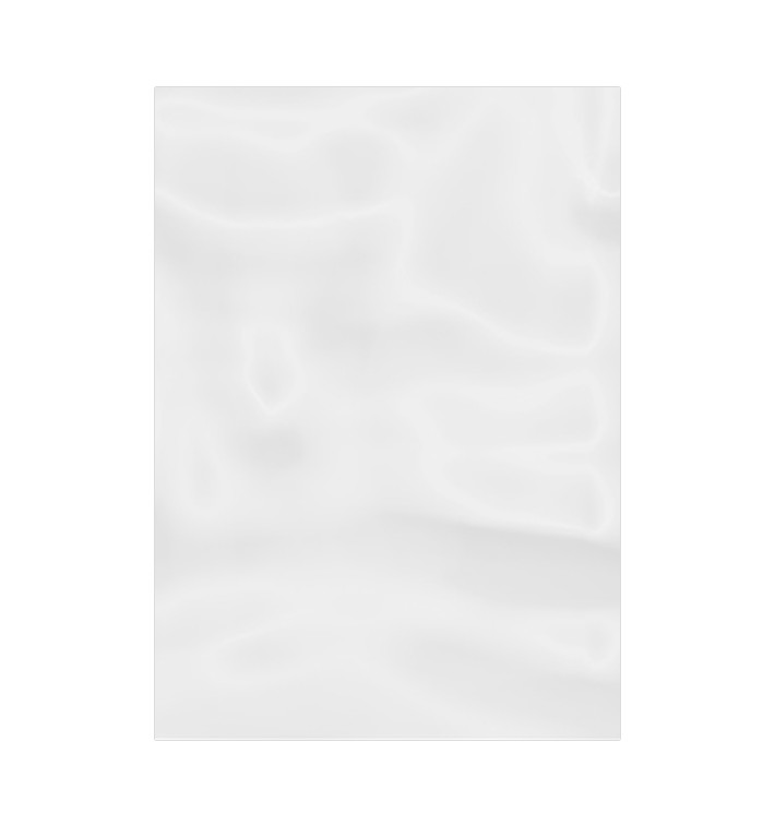 Worki Polietylenowe bezamknięcia 18x25cm G-100 (100 Sztuk) Worki Polietylenowe bezamknięcia 18x25cm G-100 (100 Sztuk)