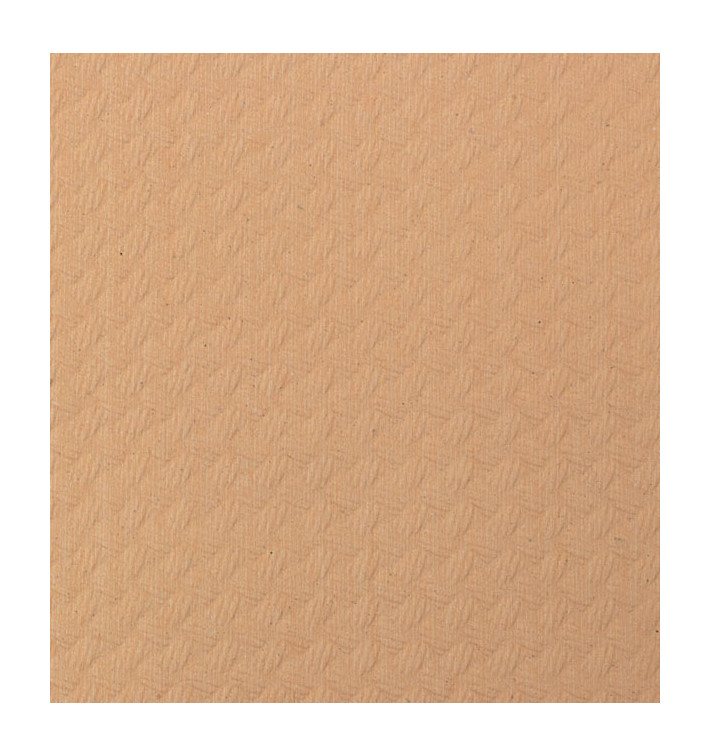 Obrus Papierowy w Rolce Łosoś 1x100m 40g (6 Sztuk) Obrus Papierowy w Rolce Łosoś 1x100m 40g (6 Sztuk)