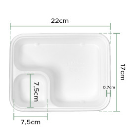 Rożek Trzciny Cukrowej 17x5x3,5cm (1000 Sztuk)