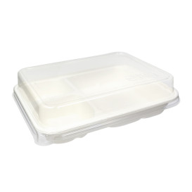 Wieczko Biodegradowalne rPET do Taców 16,5x21,5cm (200 sztuk)