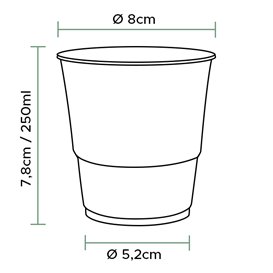 Kubek Biodegradowalny Przezroczyste PLA 250ml (50 Sztuk)