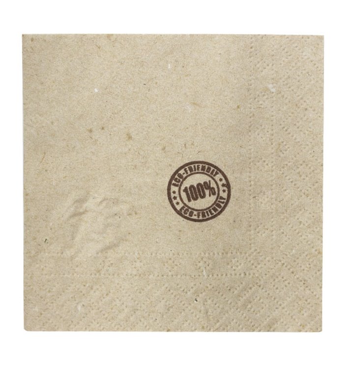 Serwetki Koktajl Ekologiczne 2-warstwowe 20x20cm (100 Sztuk) Serwetki Koktajl Ekologiczne 2-warstwowe 20x20cm (100 Sztuk)