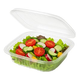 Pojemnik Kwadratowy z Pokrywką na Zawiasie PET 250ml (100 Sztuk)