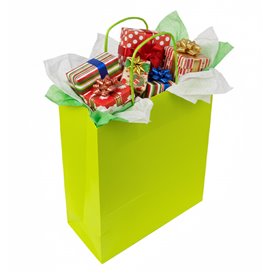 Torba Papierowa Zielona z Uchwytami 90g/m² 22+10x27cm (250 Sztuk)